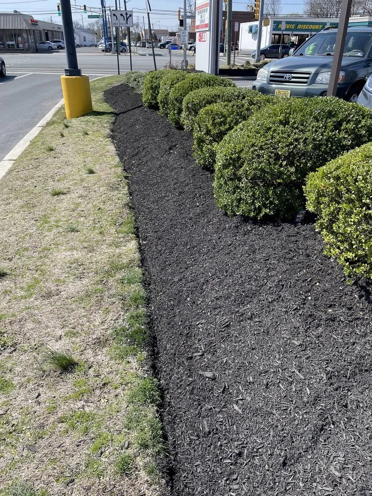 Reliable residential landscaping in Philadelphia, PA by Gsupreme Propery Sevices