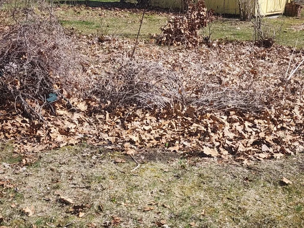 Trusted residential landscaping in White Pigeon, MI by G&T Affordable Lawn Care and Services