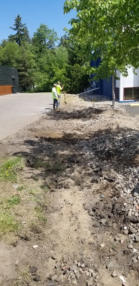 Affordable landscaping services in Lansing, MI - GT Companies