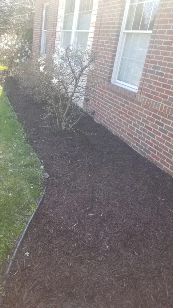 Expert yard maintenance for homes in Lansing, MI by GT Companies