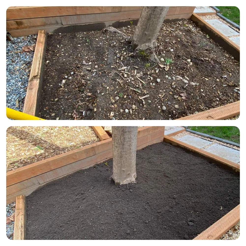 Affordable yard cleanup service in Everett, WA by GT Construction