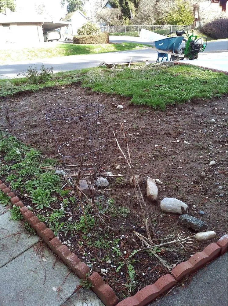 Professional garden landscaping experts serving Everett, WA - GT Construction