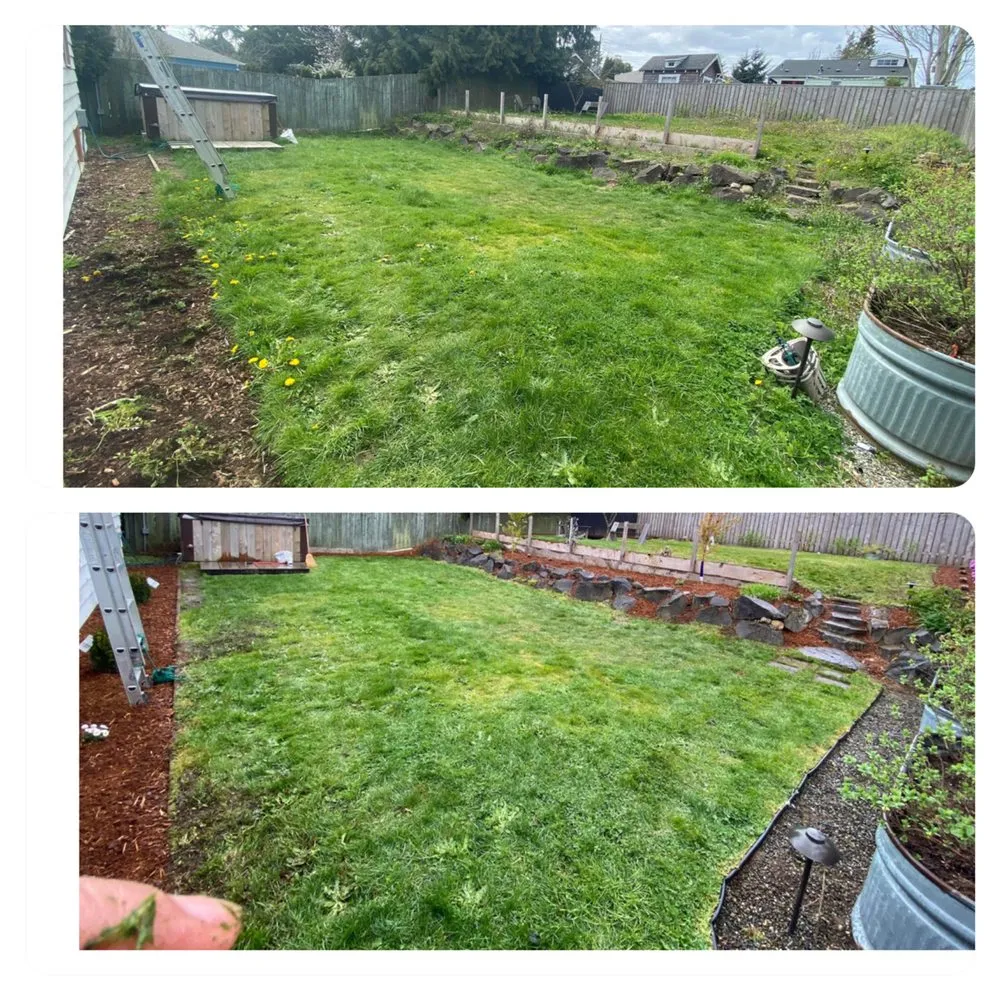 Local yard cleanup service experts serving Everett, WA - GT Construction