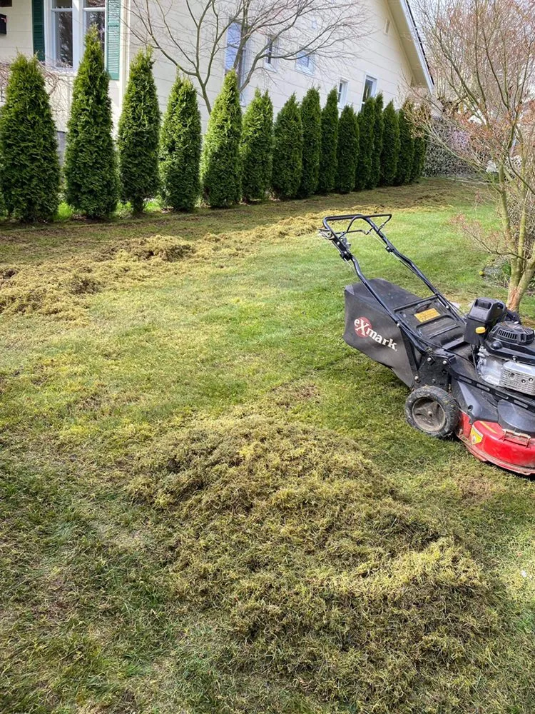 Affordable landscaping services in Everett, WA by GT Construction