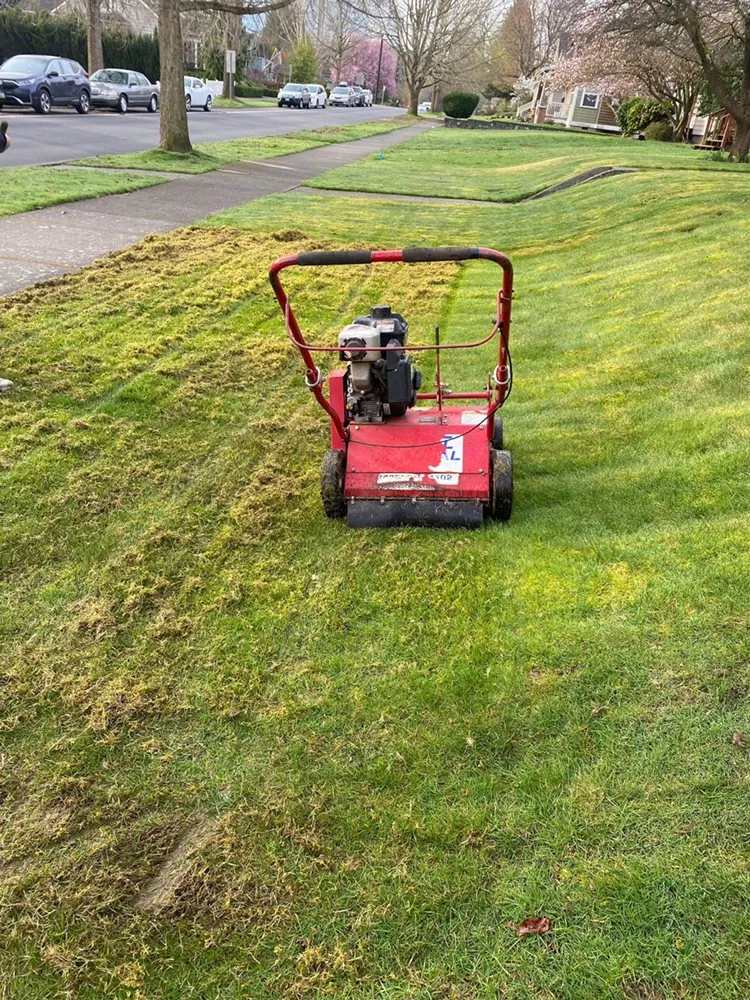 Professional residential landscaping in Everett, WA by GT Construction