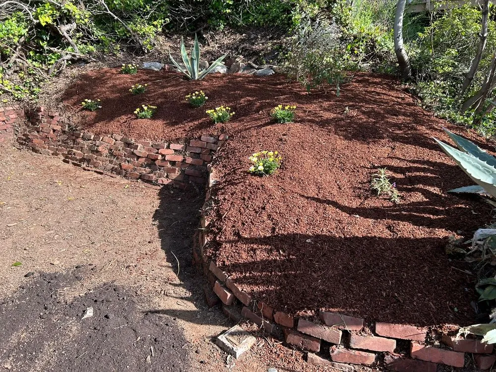 Local yard cleanup service experts serving Concord, CA - GT Gardening Service