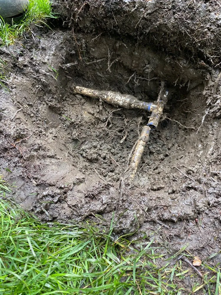 Custom lawn care service in Concord, CA by GT Gardening Service