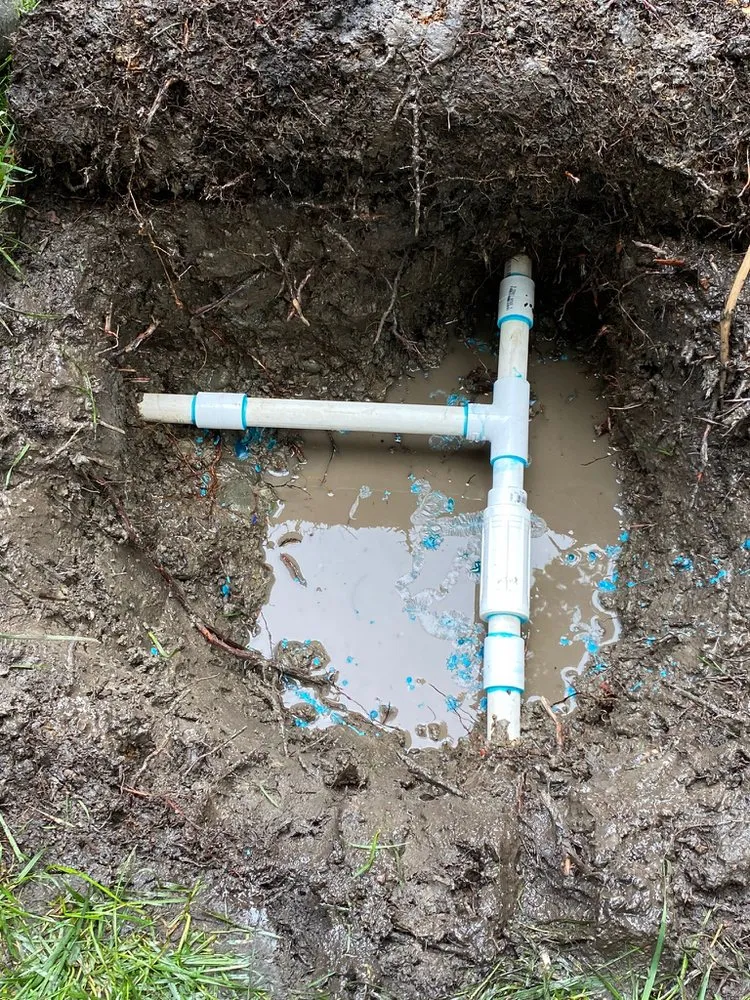 Local landscape installation in Concord, CA - GT Gardening Service