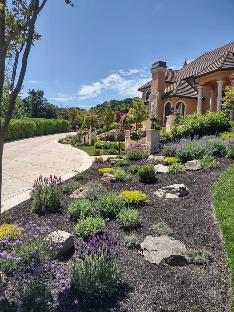 Professional yard cleanup service in Concord, CA - GT Gardening Service