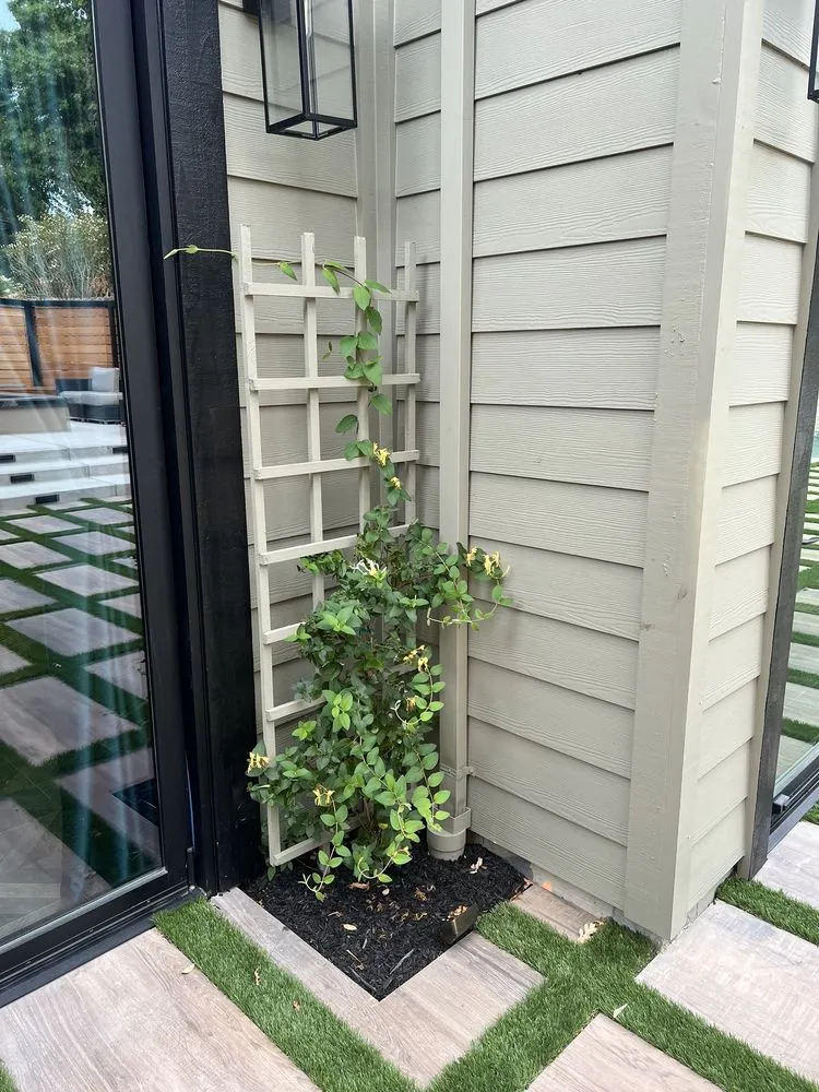 Affordable yard maintenance in Concord, CA by GT Gardening Service