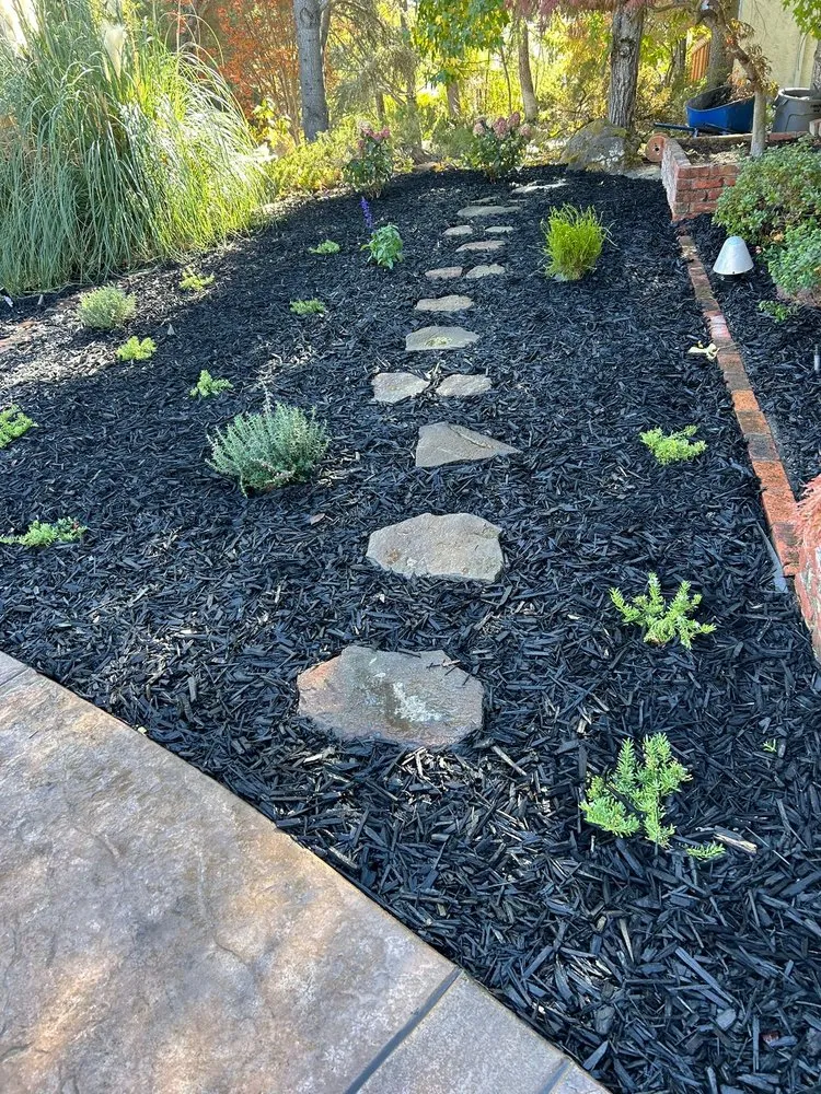 Trusted landscape design in Concord, CA by GT Gardening Service