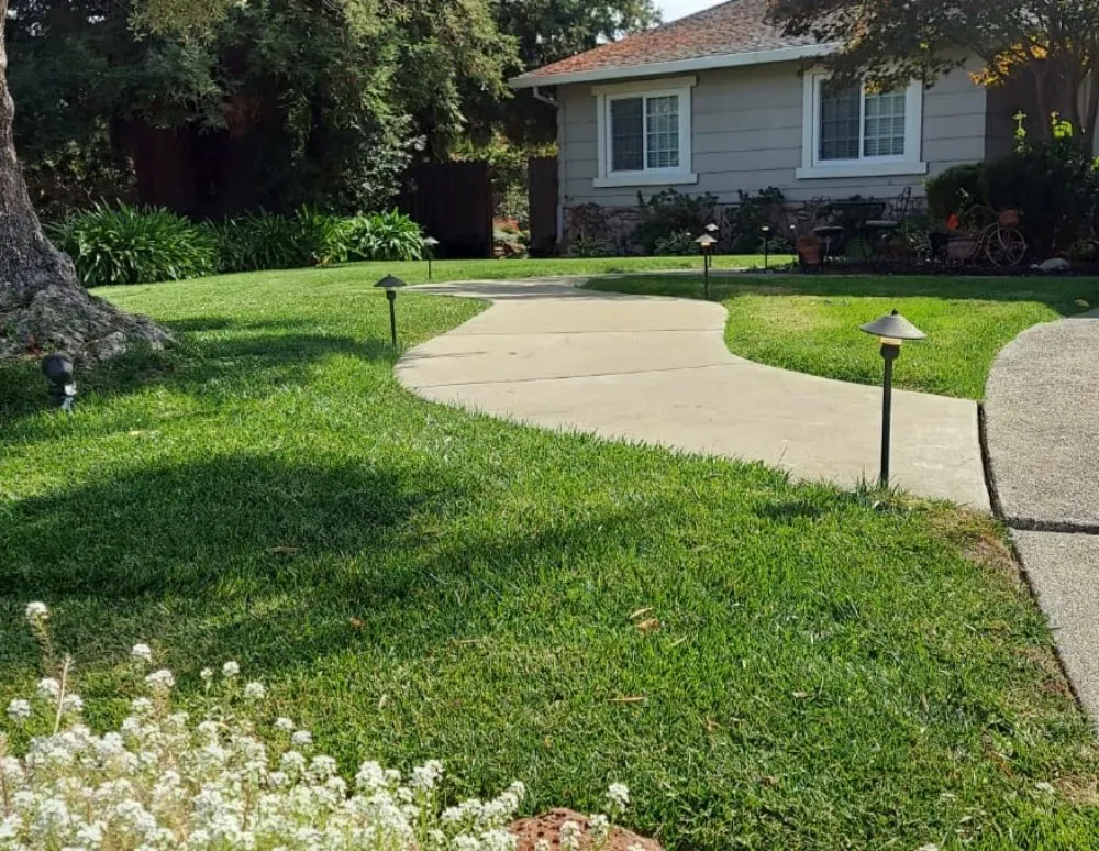 Top-rated lawn care service in Concord, CA - GT Gardening Service