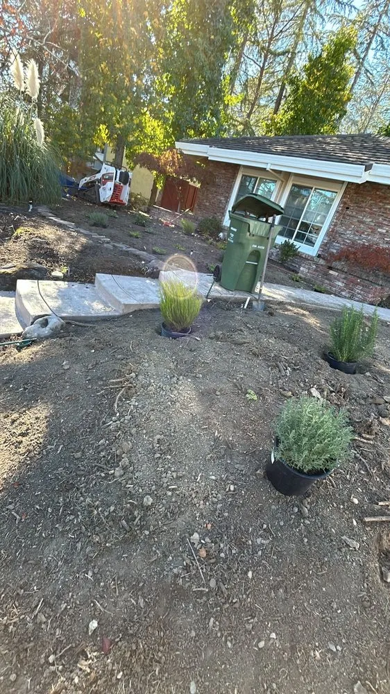 Expert lawn mowing service experts serving Concord, CA - GT Gardening Service