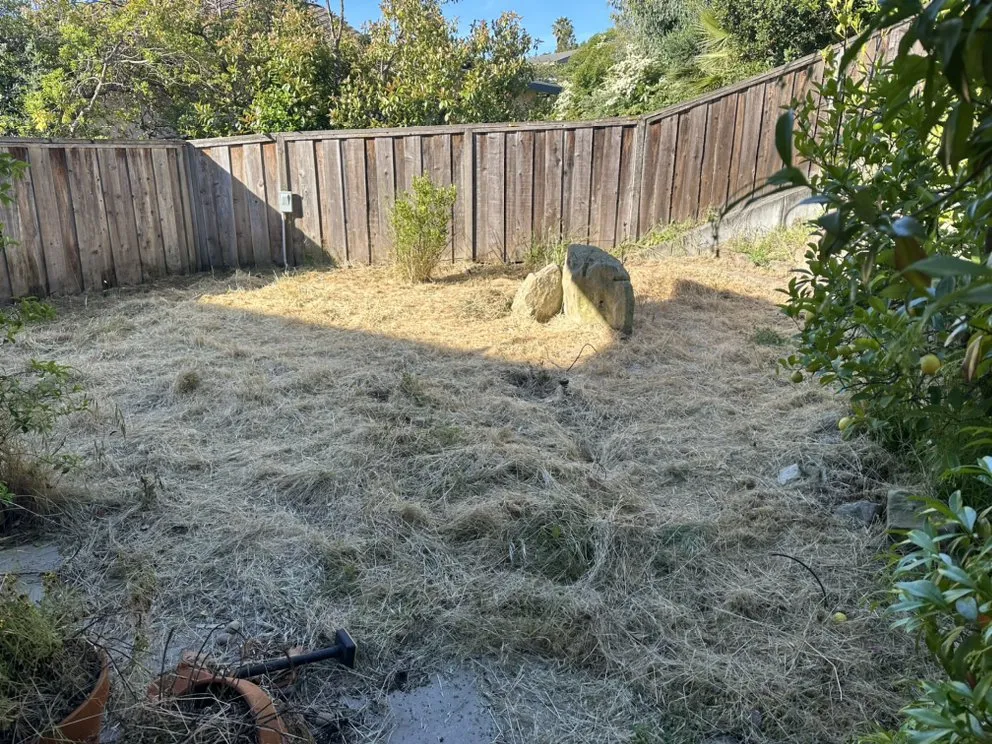 Custom lawn care service for year-round maintenance in Concord, CA by GT Gardening Service