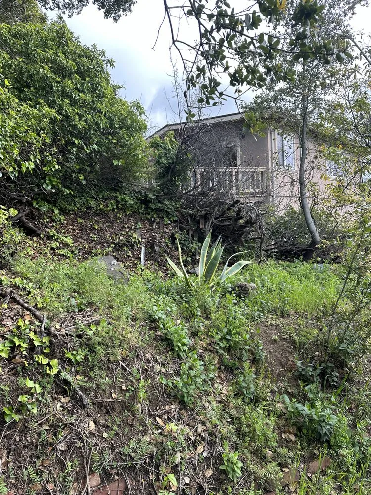 Reliable yard maintenance in Concord, CA by GT Gardening Service