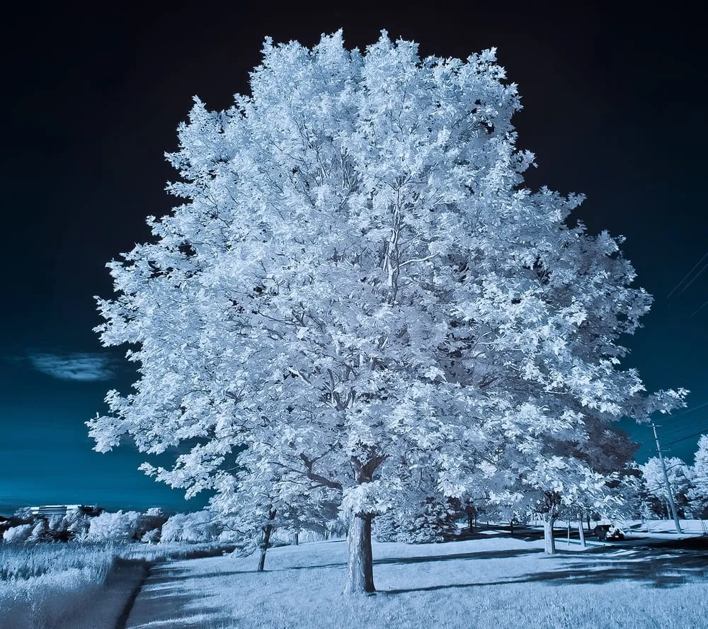 Affordable landscape installation experts serving Keizer, OR - GT Landscape Solutions