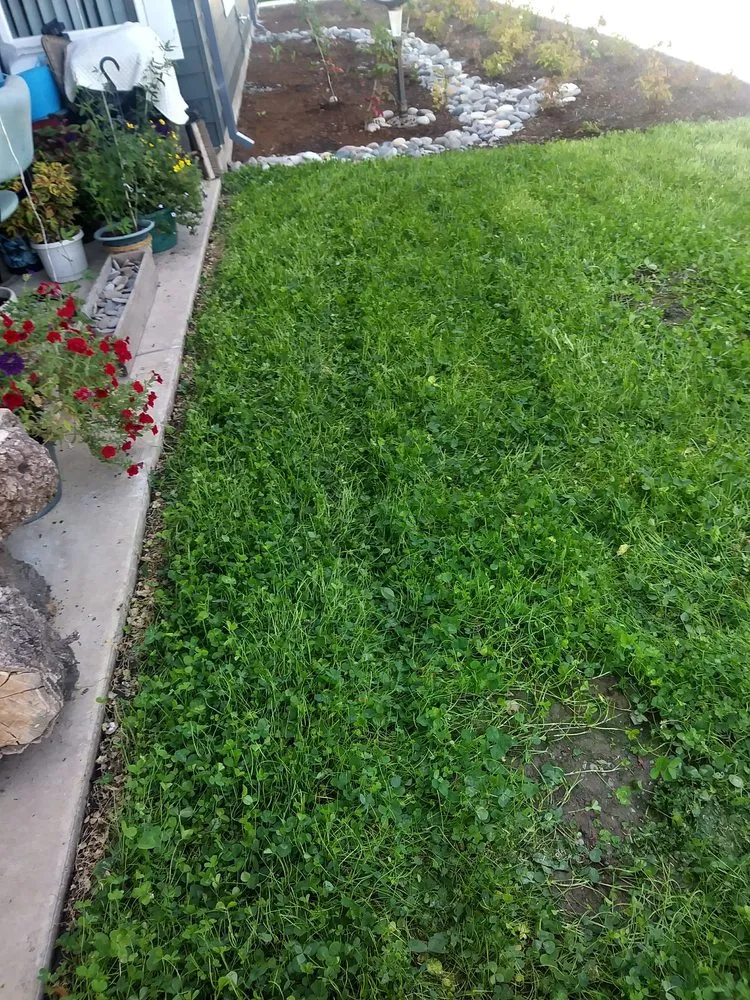 Local residential landscaping in Keizer, OR - GT Landscape Solutions