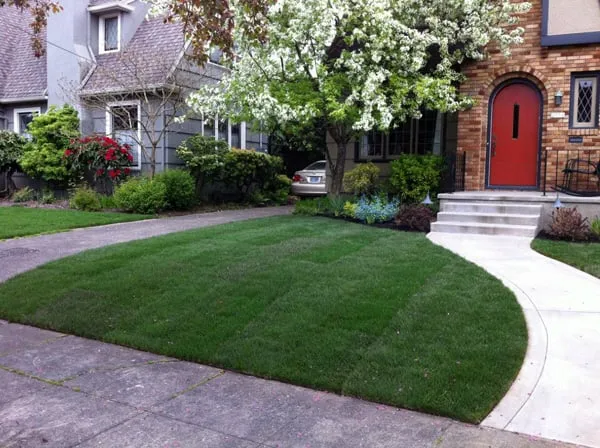 Local lawn mowing service in Keizer, OR - GT Landscape Solutions