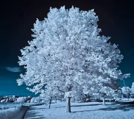 GT Landscape Solutions