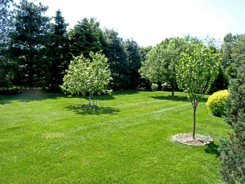 Expert landscape design for beautiful yards in Troy, MI by G&T Landscaping
