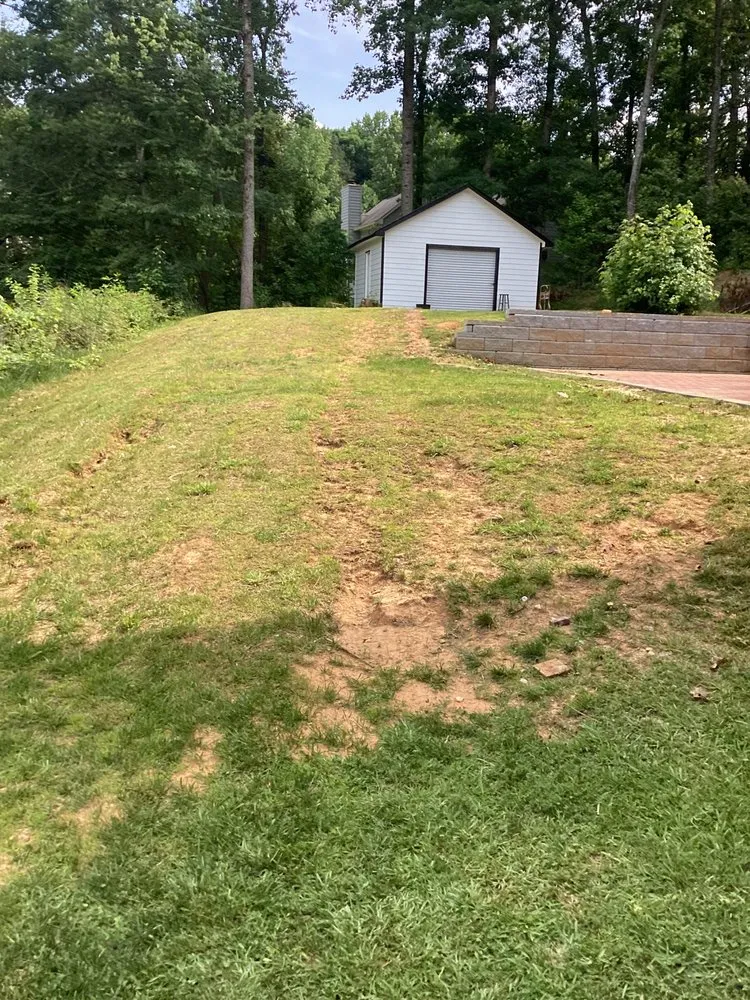 Professional yard cleanup service in Douglasville, GA - GT Lawn Care