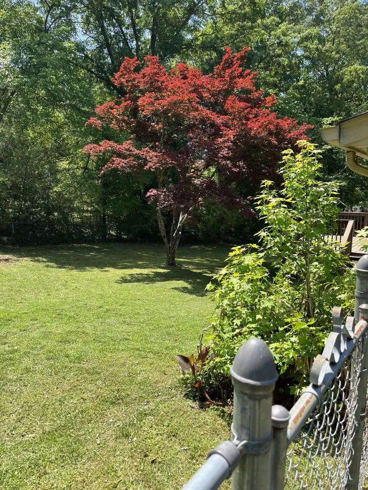 Professional residential landscaping with custom design in Douglasville, GA by GT Lawn Care