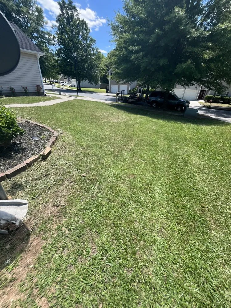 Professional yard cleanup service for outdoor upgrades across Douglasville, GA - GT Lawn Care