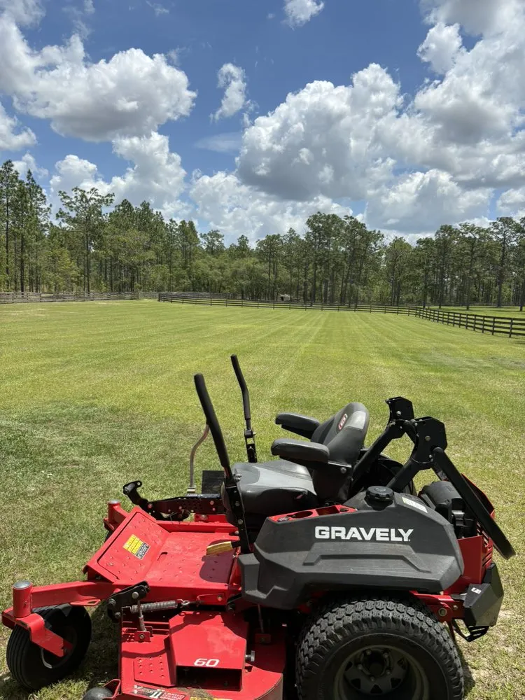 Custom yard cleanup service in Williston, FL - GT Lawn Care