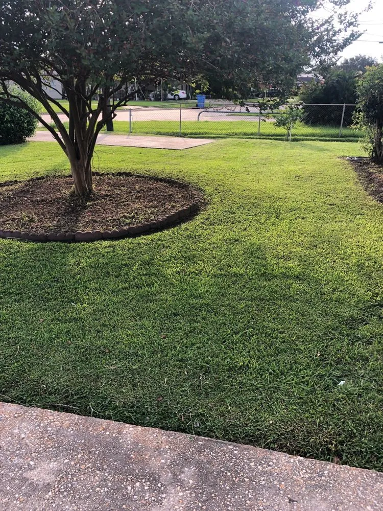 Expert yard cleanup service for homes across Morgan City, LA - G&T Lawn Service