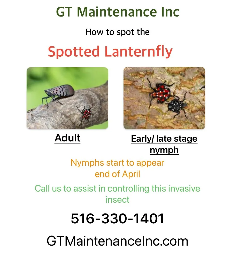 Top-rated residential landscaping in Lynbrook, NY - GT Maintenance