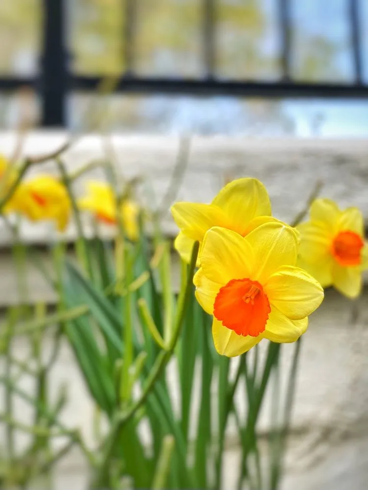 Local landscaping services experts serving Murrieta, CA - GT Maintenance Sprinkler Repair