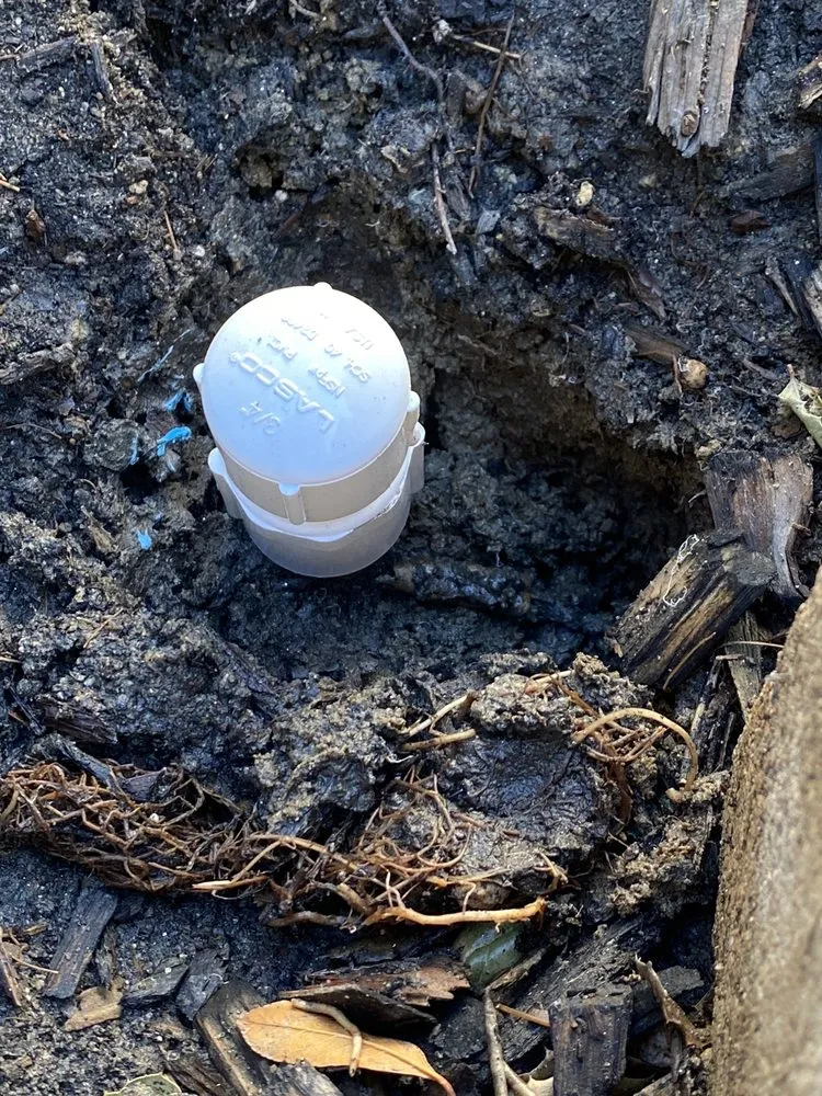 Top-rated landscape design in Murrieta, CA by GT Maintenance Sprinkler Repair