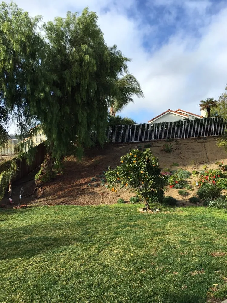 Expert landscape installation in Murrieta, CA - GT Maintenance Sprinkler Repair