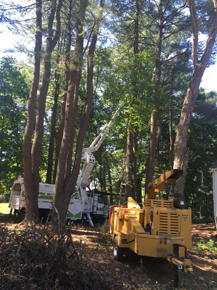 Expert residential landscaping experts serving Lynn, MA - GT OptimoTree Services