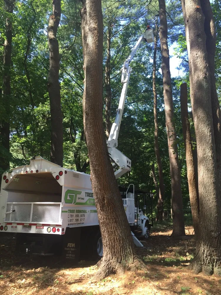 Custom garden landscaping experts serving Lynn, MA - GT OptimoTree Services