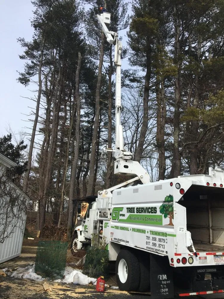 Reliable outdoor landscaping near you across Lynn, MA - GT OptimoTree Services