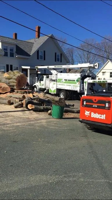 Reliable yard maintenance in Lynn, MA by GT OptimoTree Services