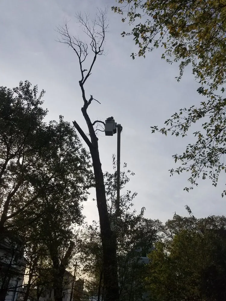 Reliable residential landscaping in Lynn, MA by GT OptimoTree Services