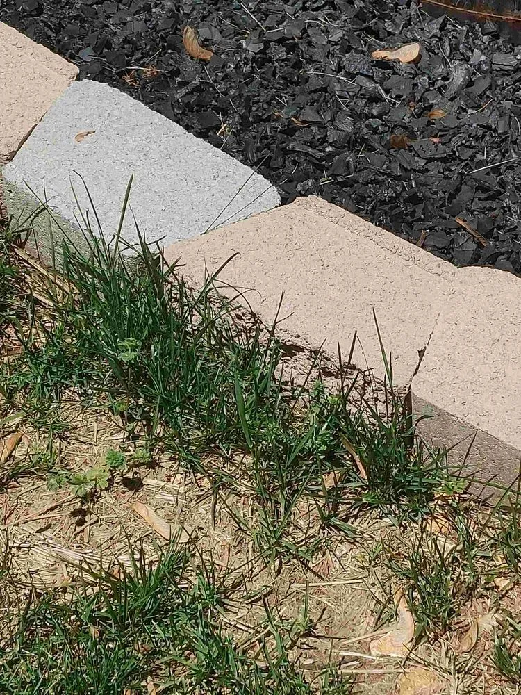 Custom lawn care service for year-round maintenance in St. Charles, MO by G/T Outdoor Professionals