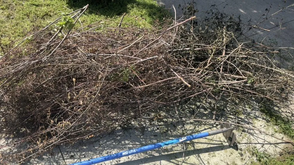 Reliable yard cleanup service in Inman, KS by G&T Total Outdoor Care