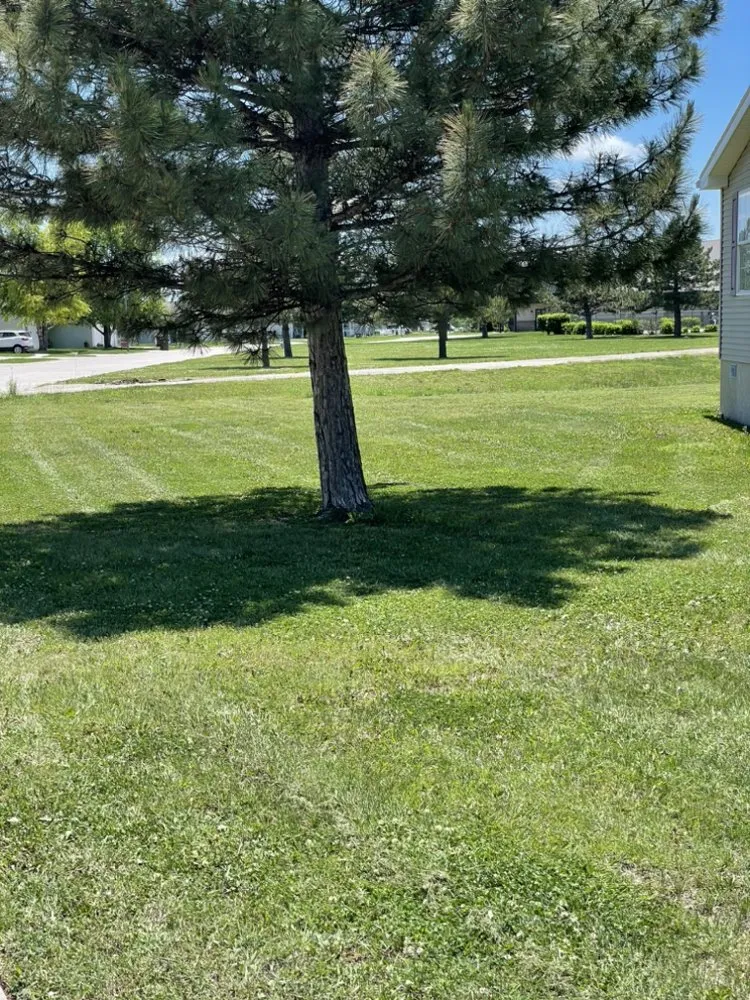 Professional yard maintenance with custom design across Inman, KS - G&T Total Outdoor Care