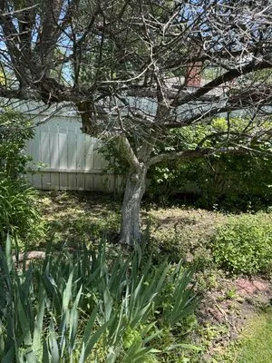 G&T Total Outdoor Care