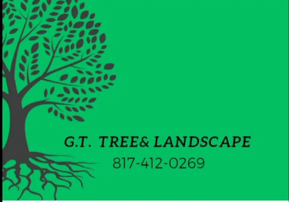 Reliable residential landscaping for beautiful yards across Azle, TX - G.T. Trees an Landscapeing