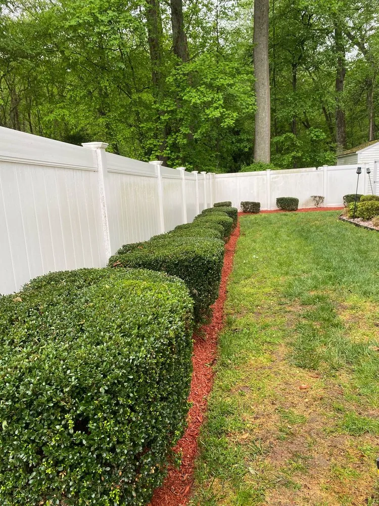 Local yard cleanup service in Oxon Hill, MD by GTC Landscaping Services