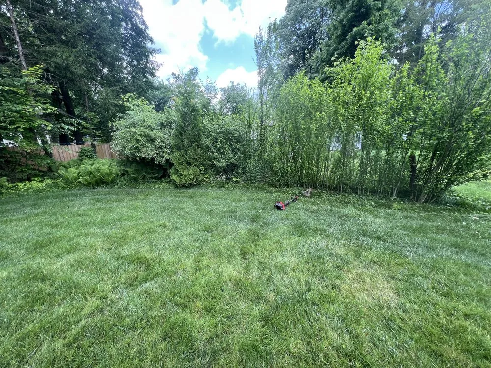 Trusted residential landscaping for year-round maintenance across Campbell, OH - GTG Home Improvement