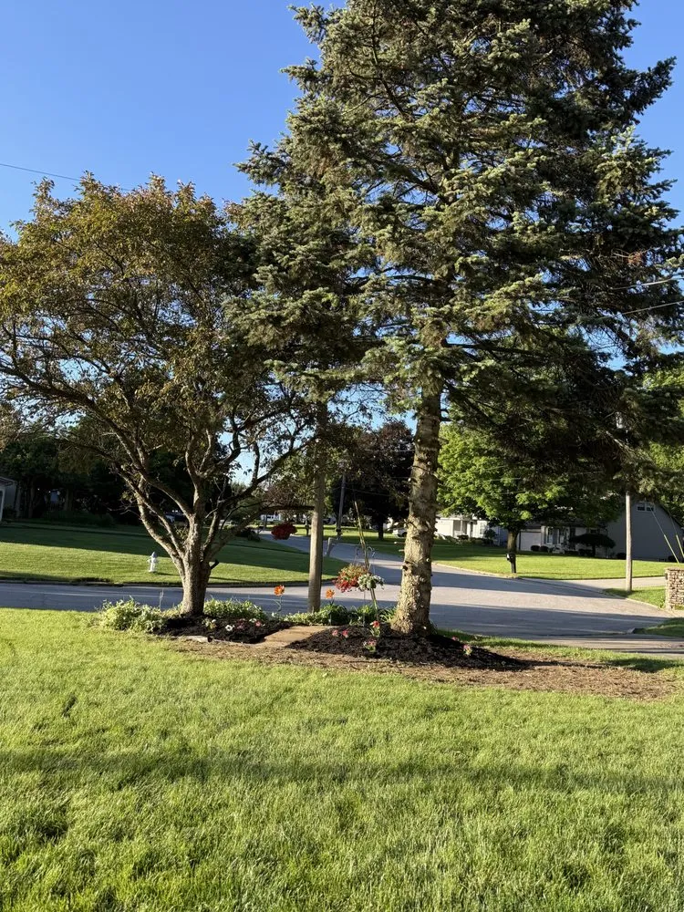 Reliable landscaping services in Campbell, OH by GTG Home Improvement