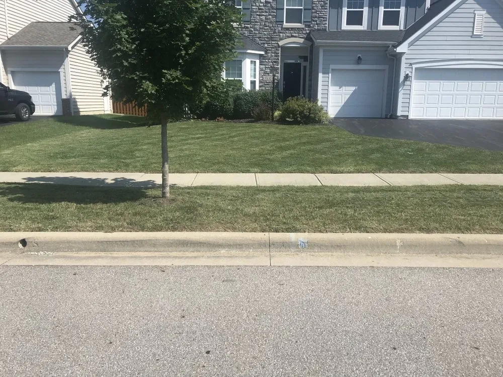 Affordable landscape design for beautiful yards in Columbus, OH by GTG Landscaping