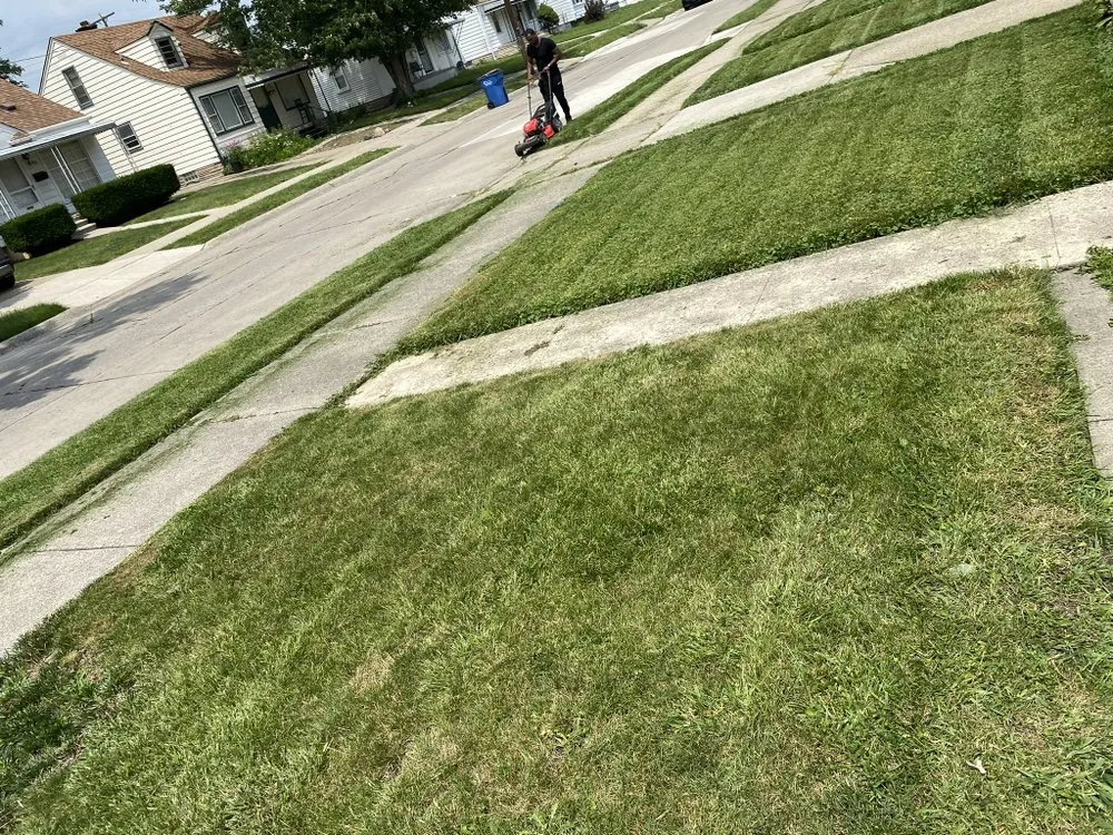 Expert lawn care service with custom design in Clinton Township, MI by GTI Landscaping