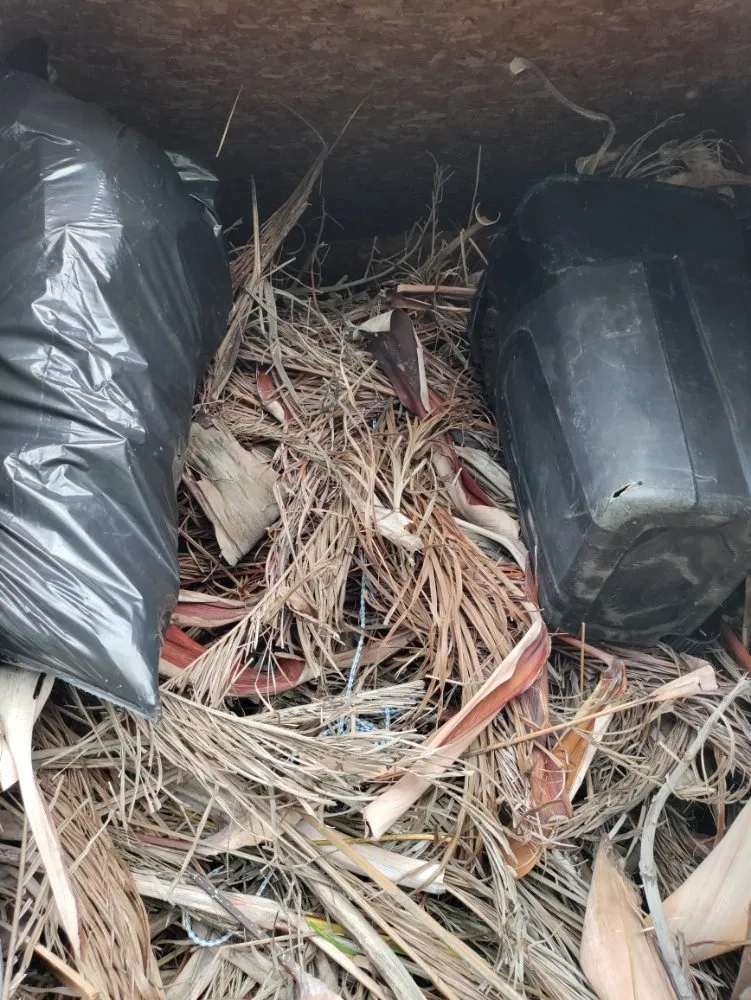 Affordable landscape design for residential properties in Lehigh Acres, FL by GTN SUPERIOR