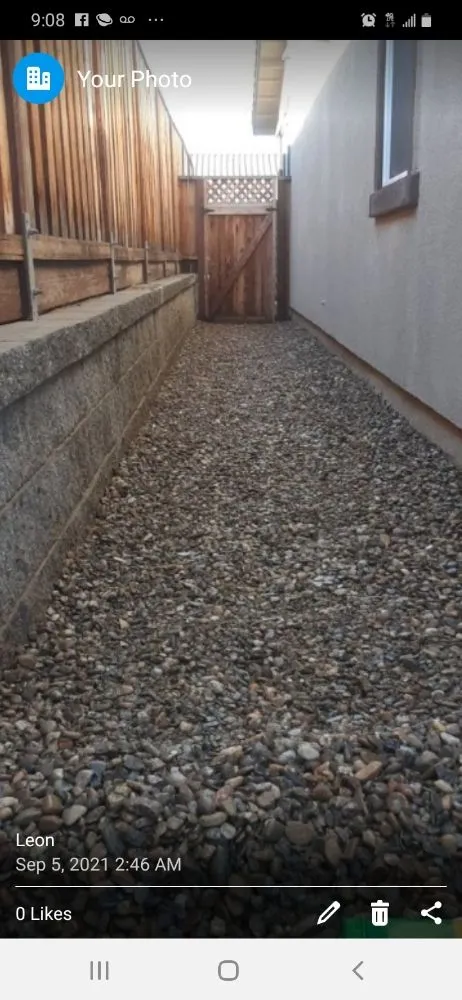 Professional yard cleanup service in Tracy, CA by Gto Garden Landscape